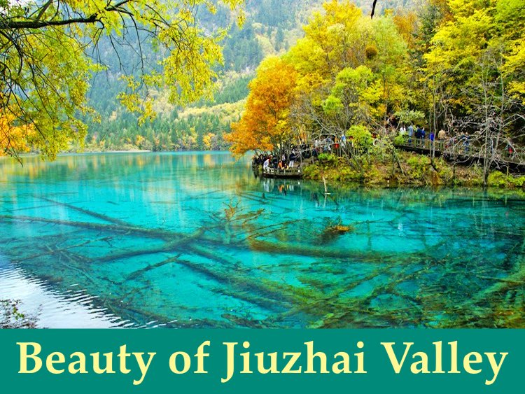 Sichuan See: Beauty of Jiuzhai Valley / Jiuzhaigou (四川.九寨沟)