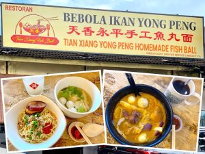 Johor Bahru Eat: Tian Xiang Yong Peng Handmade Fish Ball Noodle (天香永平手工鱼丸面) @ Taman Century