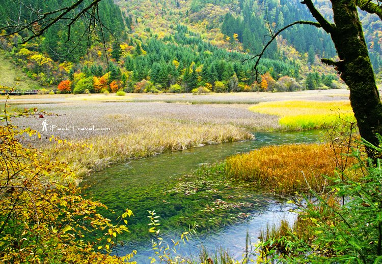 Jiuzhai Valley (九寨沟): Grass Lake (芳草海)