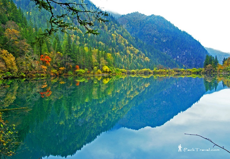 Jiuzhai Valley (九寨沟): Arrow Bamboo Lake (箭竹海)