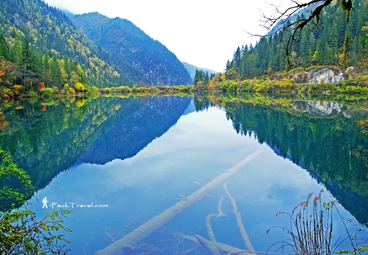 Jiuzhai Valley (九寨沟): Arrow Bamboo Lake (箭竹海)