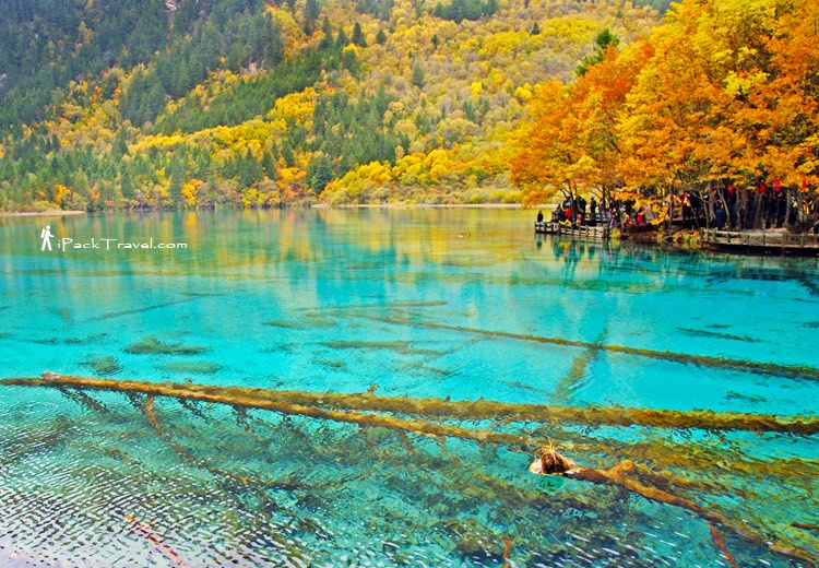Jiuzhai Valley (九寨沟): Five-Flower Lake (五花海)