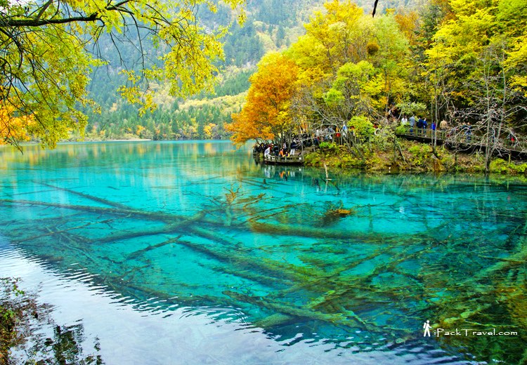 Jiuzhai Valley (九寨沟): Five-Flower Lake (五花海)
