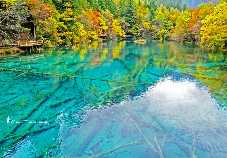 Jiuzhai Valley (九寨沟): Five-Flower Lake (五花海)