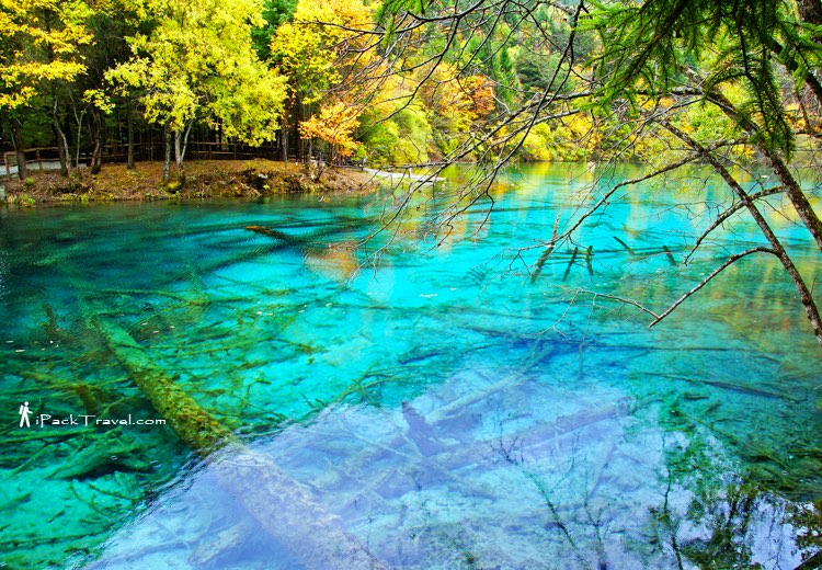 Jiuzhai Valley (九寨沟): Five-Flower Lake (五花海)