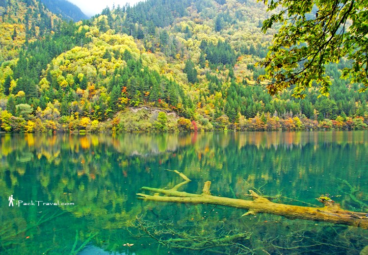 Jiuzhai Valley (九寨沟): Mirror Lake (镜海)