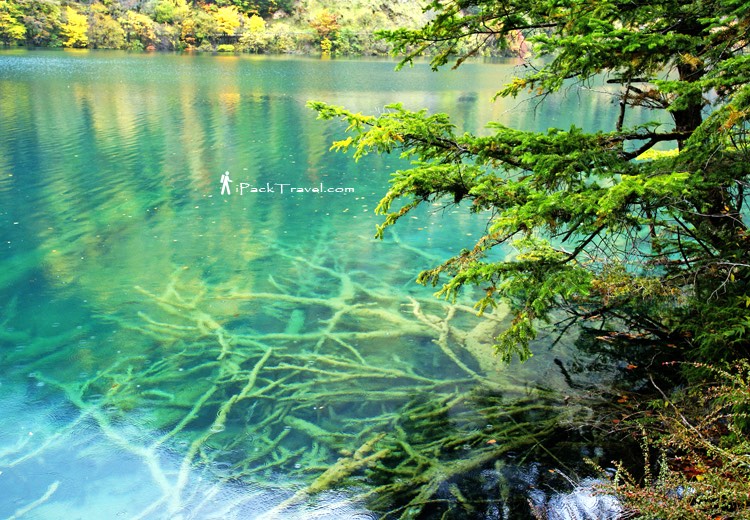Jiuzhai Valley (九寨沟): Mirror Lake (镜海)