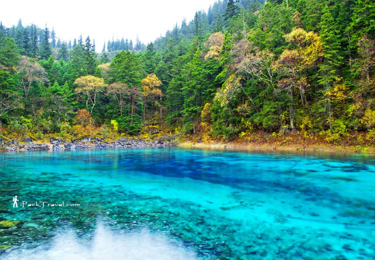 Jiuzhai Valley (九寨沟): Five-Coloured Pool (五彩池)