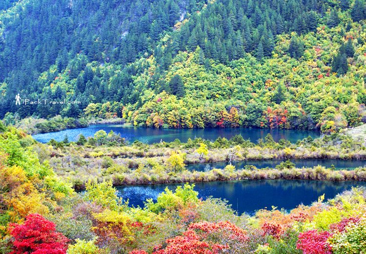 Jiuzhai Valley (九寨沟): Lying Dragon Lake (卧龙海)