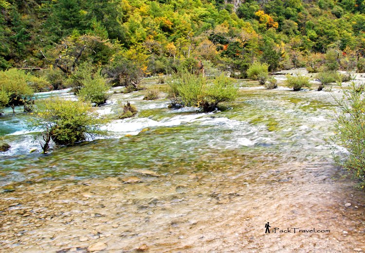 Jiuzhai Valley (九寨沟): Bonsai Shoals (盆景滩)