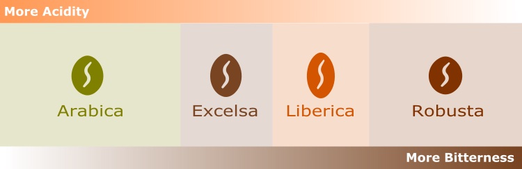 Taste Profiles of coffee beans