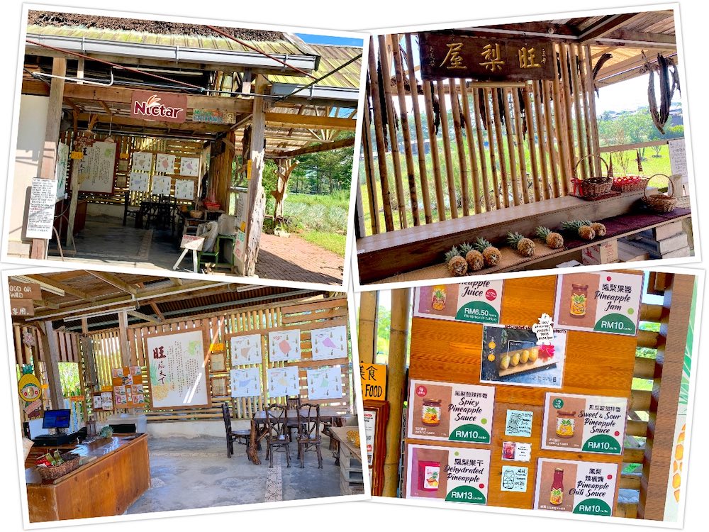 Nictar Pineapple Park: Retail section