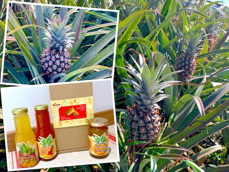 Pontian See: Nictar Pineapple Park @ Pekan Nanas