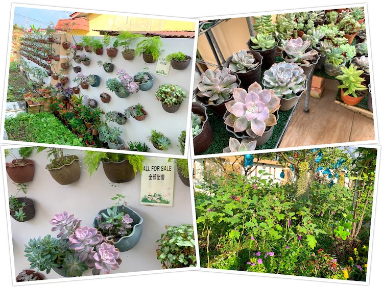 Tangkak Greenville Homestay (绿园民宿): Gardens