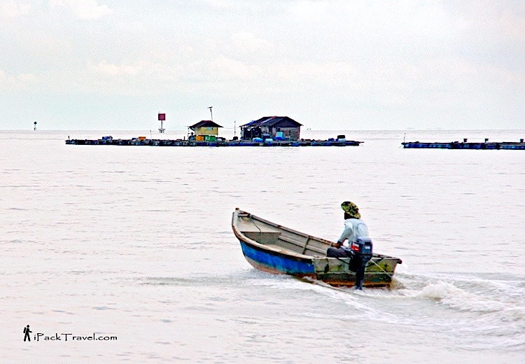 Kukup Fishing Village (龟咯渔村): Floating Fish Farms / Kelongs